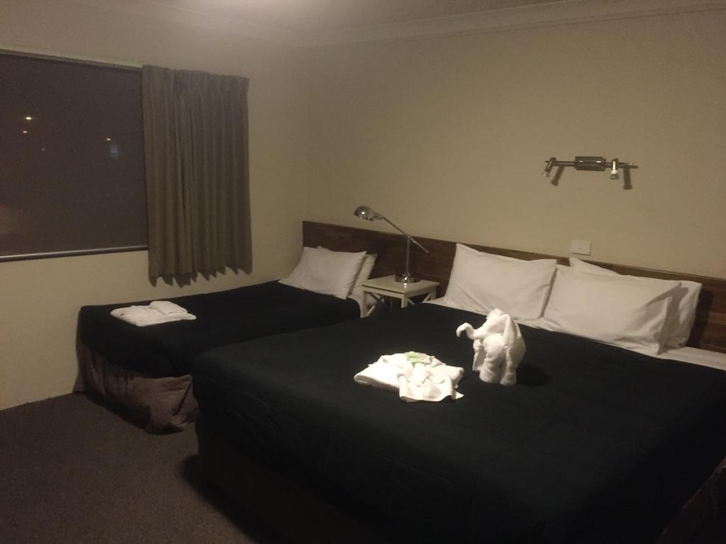Murray Valley Motel Wodonga Exterior foto